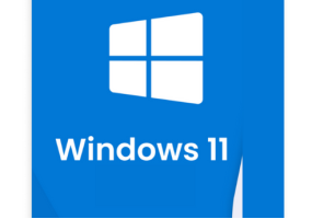 Windows 11 Pro Retail Anahtarı (Kurumsal)